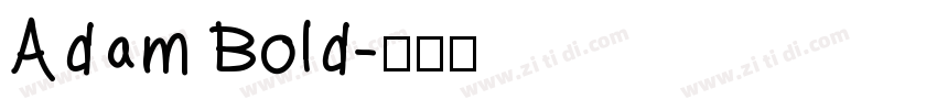 Adam Bold字体转换